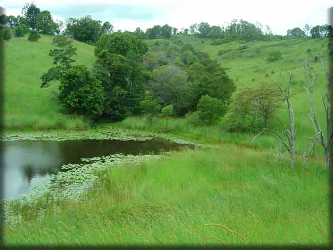 Farm for sale Cooroy Qld
