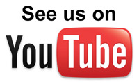 Watch video of Droughtmaster cattle